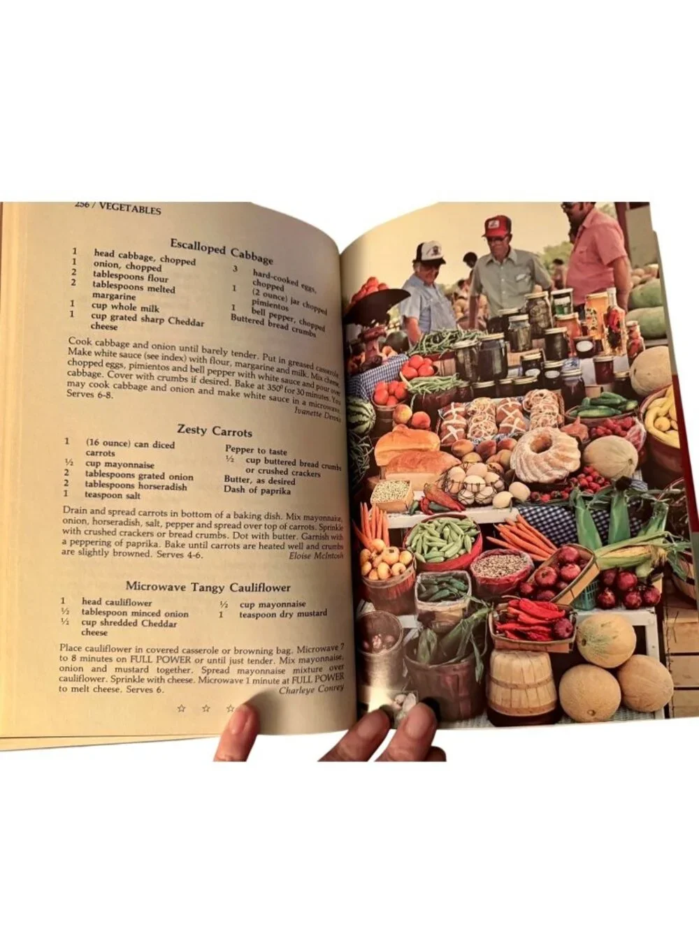 The Texas Experience Friendship & Food Texas Cookbook Richardson Womans Club